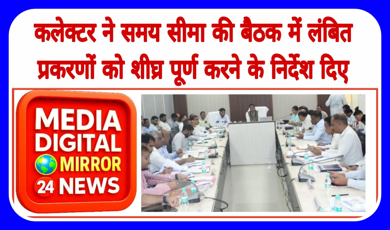 कलेक्टर ने समय सीमा की बैठक में लंबित प्रकरणों को शीघ्र पूर्ण करने के निर्देश दिए
